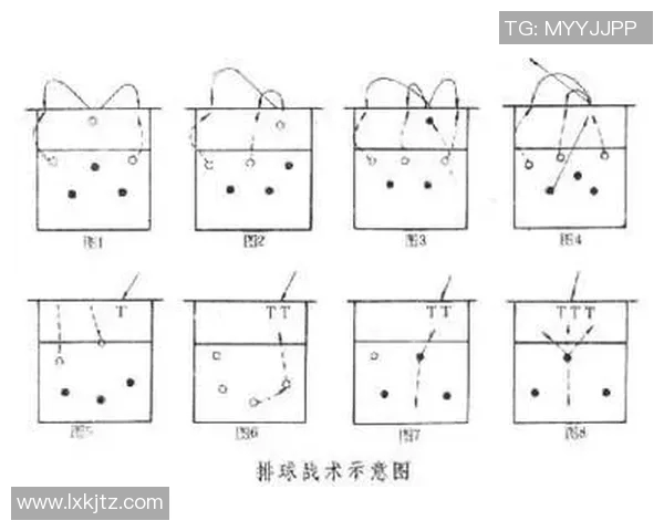 武汉排球队速度对比深度解析与战术影响探讨 武汉排球队速度对比深度解析与战术影响探讨