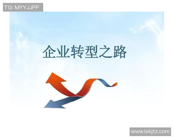 武汉排球队的转型之路:从传统强队到现代化竞技新标杆的探索与实践 武汉排球队的转型之路:从传统强队到现代化竞技新标杆的探索与实践